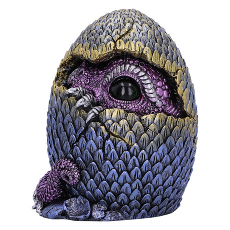 Hidden Hatchling Dragon Ornament: 3 - Figures & Collectables By Gift Moments