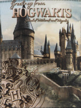 Harry Potter Hogwarts Castle Premium Fleece Blanket: 4 Blankets By Harry Potter