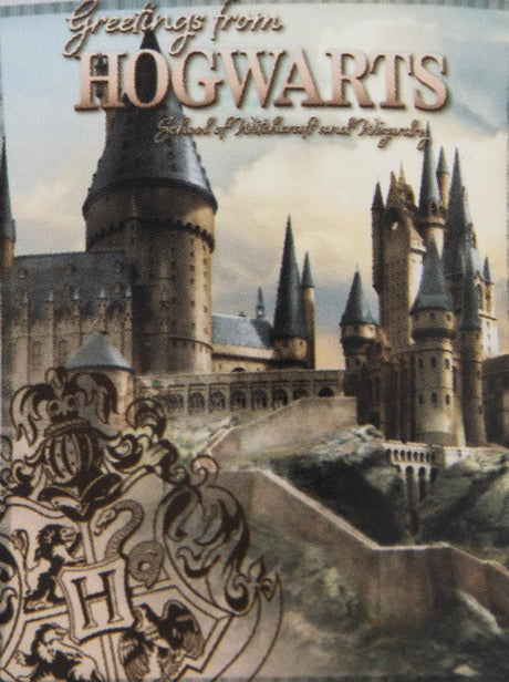 Harry Potter Hogwarts Castle Premium Fleece Blanket: 4 - Blankets By Harry Potter
