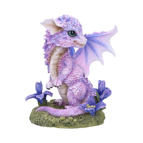 Iris Flower Dragon Figurine: 2 - Figurines Small (Under 15cm) By NN Designs