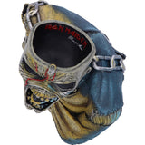 Iron Maiden Piece of Mind Bust 25cm: 8 Boxes By Iron Maiden