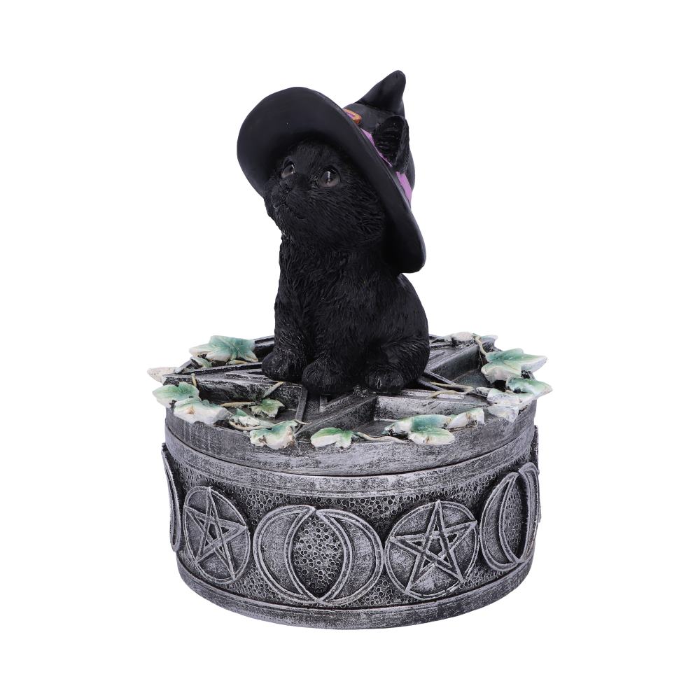 Ivy Familiar Box 15cm: 3 - Boxes By Gift Moments
