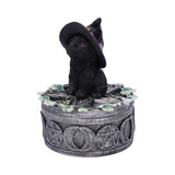 Ivy Familiar Box 15cm: 3 - Boxes By Gift Moments