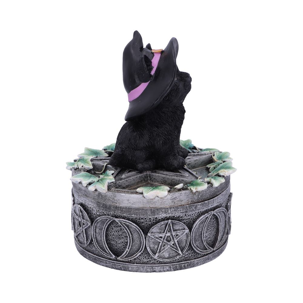 Ivy Familiar Box 15cm: 5 - Boxes By Gift Moments