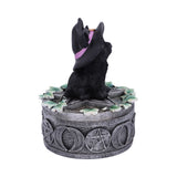 Ivy Familiar Box 15cm: 5 - Boxes By Gift Moments