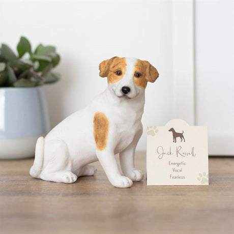 Jack Russell Terrier Dog Ornament: 1 - Ornaments By Gift Moments