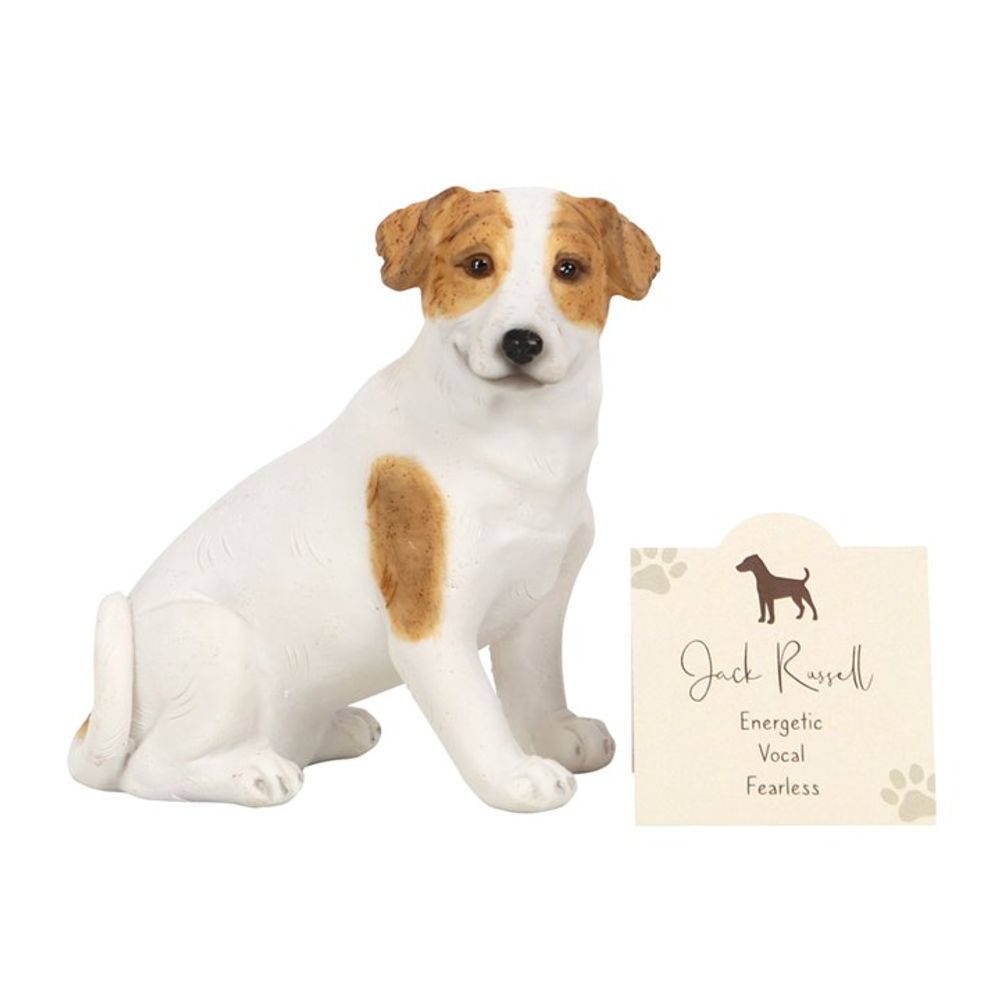 Jack Russell Terrier Dog Ornament: 2 - Ornaments By Gift Moments