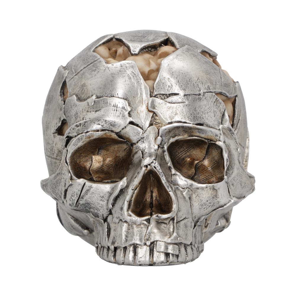 Large Alternative Fracture Skull 16cm: 3 - Figures & Collectables By Gift Moments