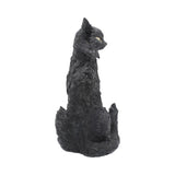 Large Black Cat Witches Familiar Figure Salem 32.5cm: 5 - Figures & Collectables By Gift Moments