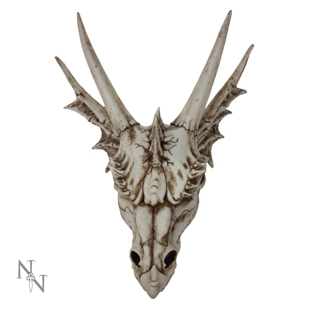 The Last Dragon Skull Realistic Reptile Skeleton Head: 2 - Figures & Collectables By Gift Moments