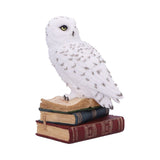 Library of Wisdom White Owl Figurine: 5 - Figures & Collectables By Gift Moments