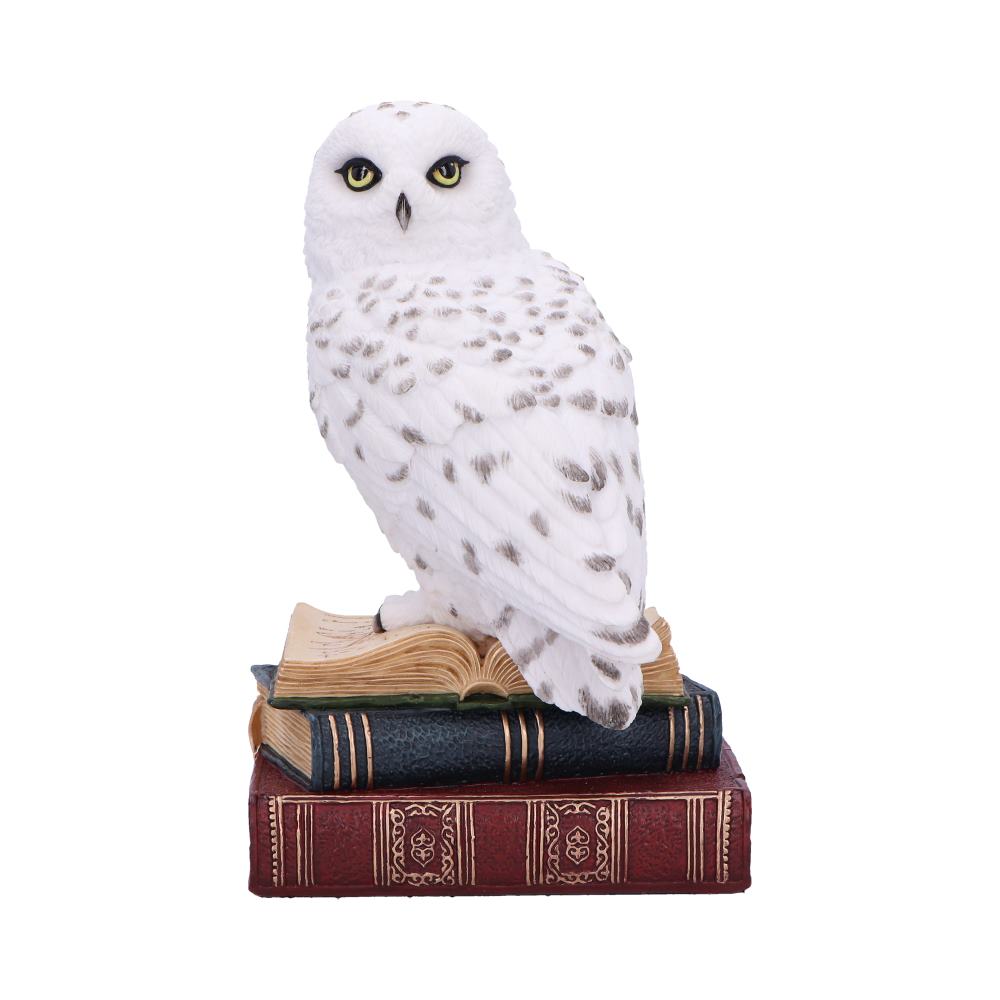 Library of Wisdom White Owl Figurine: 2 - Figures & Collectables By Gift Moments
