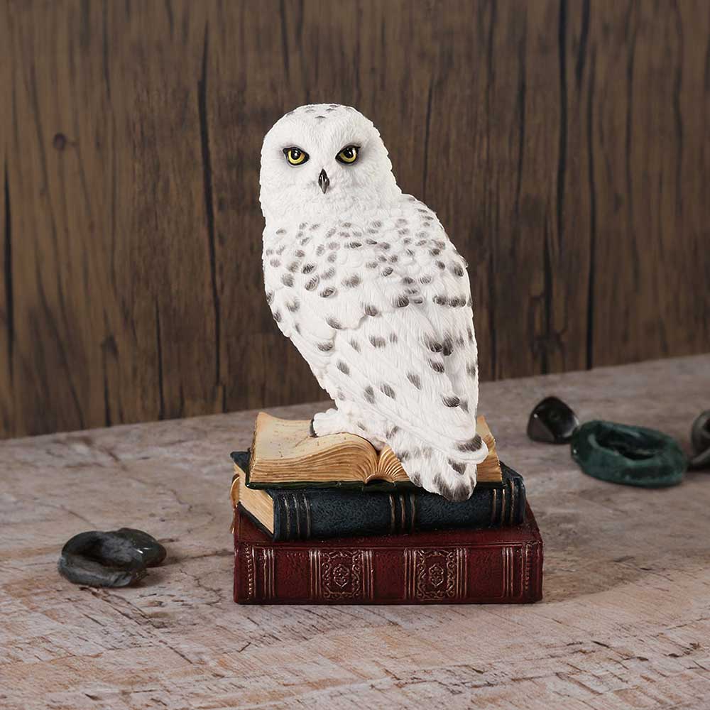 Library of Wisdom White Owl Figurine - Shop Figures & Collectables At Gift Moments - 1