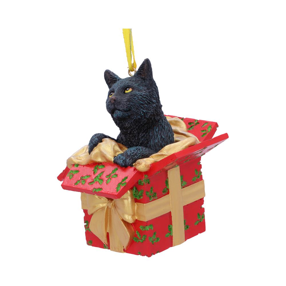 Lisa Parker Present Cat Hanging Ornament 9cm: 3 - Hanging Decorations By Lisa Parker