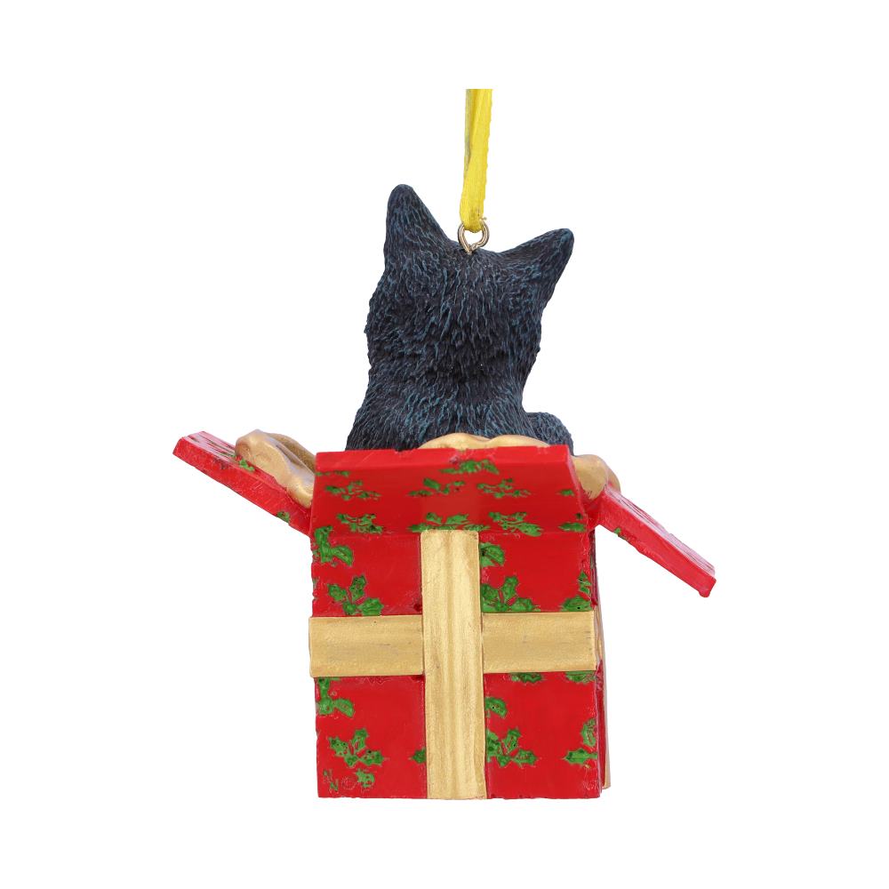 Lisa Parker Present Cat Hanging Ornament 9cm: 4 - Hanging Decorations By Lisa Parker