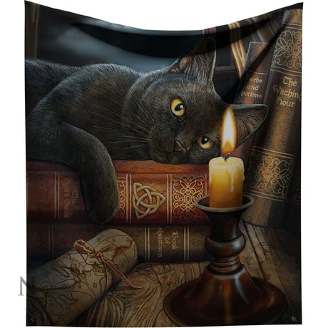 Lisa Parker Witching Hour Throw Witch Cat Blanket: 2 - Throws By Lisa Parker