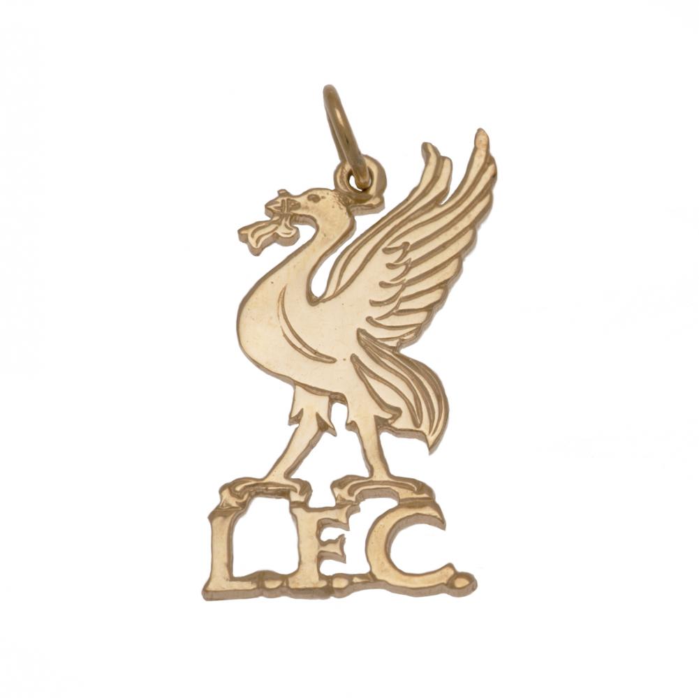 Liverpool FC 9ct Gold Pendant Liverbird Medium: 2 - Jewellery By Liverpool