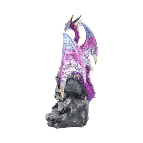Loyal Defender Figurine Fantasy Gothic Dragon and Skull Ornament: 4 - Figures & Collectables By Gift Moments