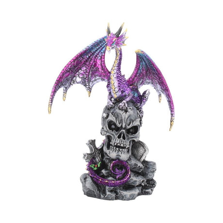Loyal Defender Figurine Fantasy Gothic Dragon and Skull Ornament: 2 - Figures & Collectables By Gift Moments