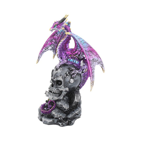 Loyal Defender Figurine Fantasy Gothic Dragon and Skull Ornament: 3 - Figures & Collectables By Gift Moments