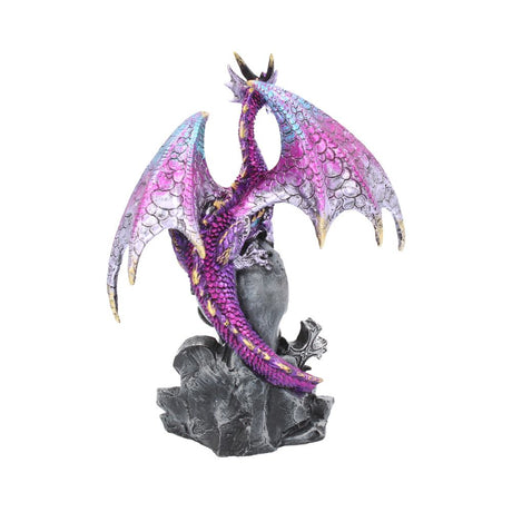 Loyal Defender Figurine Fantasy Gothic Dragon and Skull Ornament: 5 - Figures & Collectables By Gift Moments