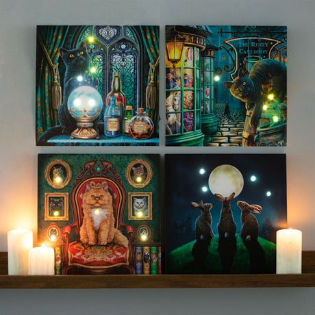 Mad About Cats Light Up Canvas: 6 - Wall Art By Gift Moments