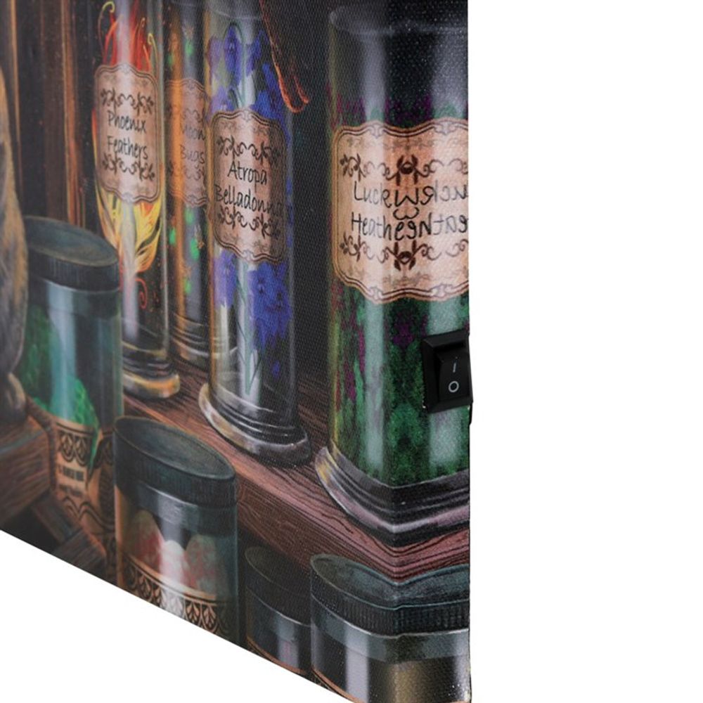 Magical Emporium Light Up Canvas Plaque by Lisa Parker: 4 - Wall Art By Gift Moments