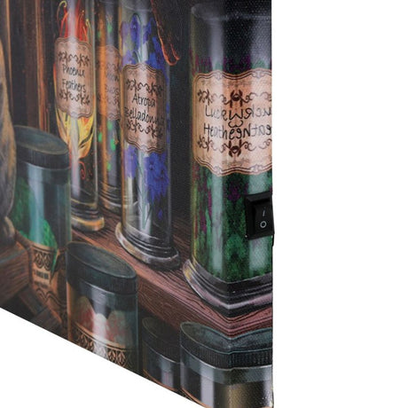 Magical Emporium Light Up Canvas Plaque by Lisa Parker: 4 - Wall Art By Gift Moments