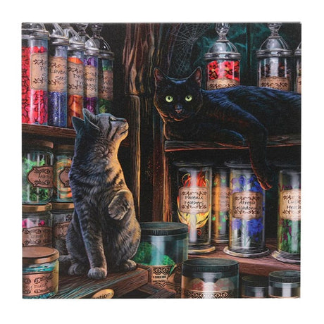 Magical Emporium Light Up Canvas Plaque by Lisa Parker: 3 - Wall Art By Gift Moments