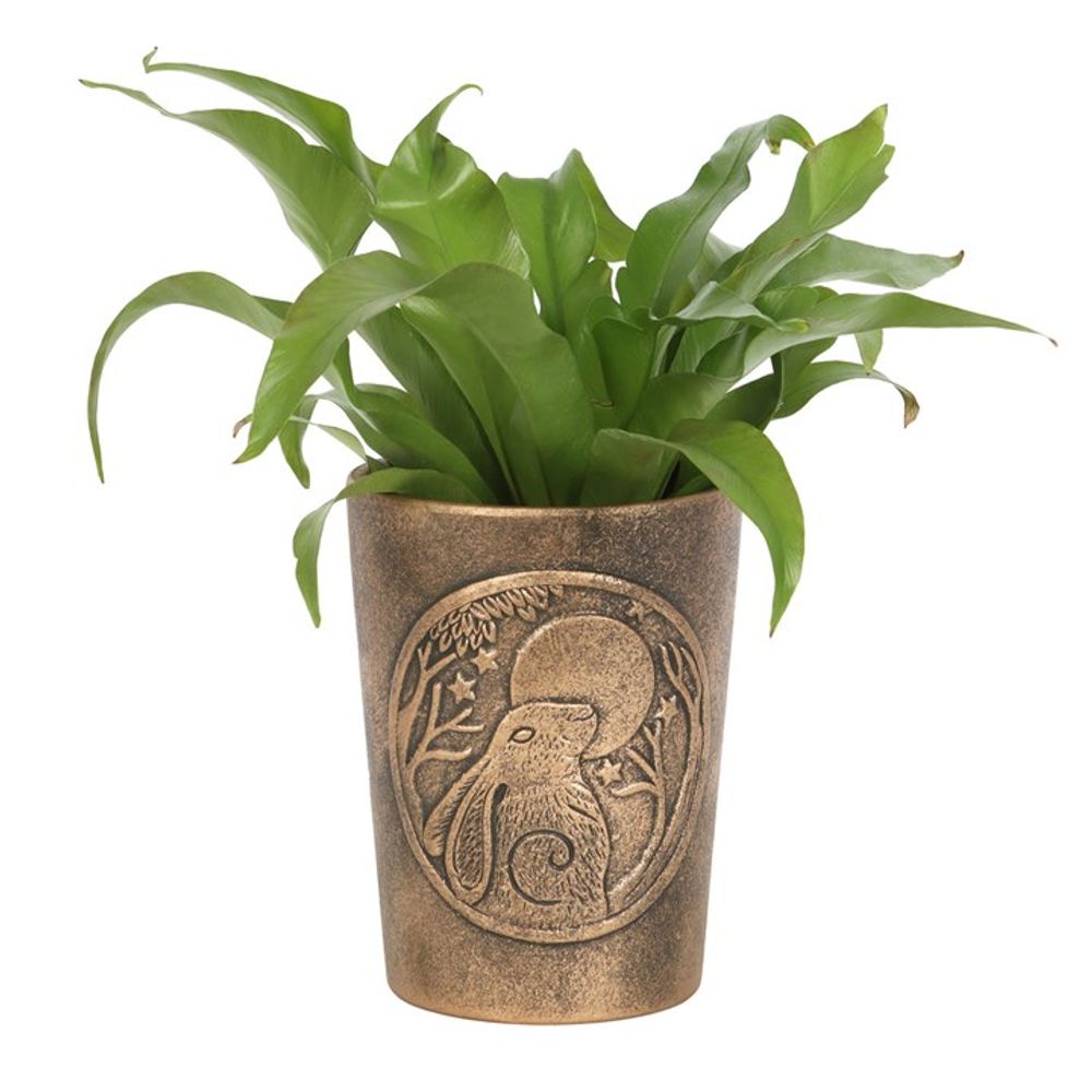 Moon Gazing Hare Bronze Terracotta Plant Pot by Lisa Parker: 2 - Pots & Planters By Gift Moments