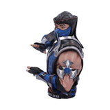 Mortal Kombat Sub-Zero Bust: 4 - Figures & Collectables By Mortal Kombat