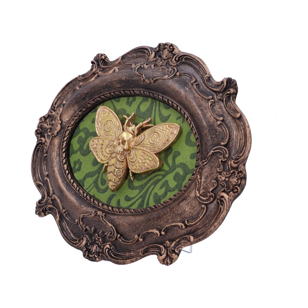 Moth Macabre Baroque Framed Death’s Head Moth Wall Plaque: 3 - Wall Hanging Sculptures By Gift Moments