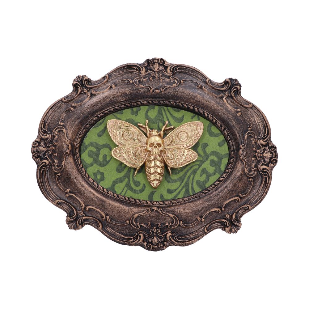 Moth Macabre Baroque Framed Death’s Head Moth Wall Plaque: 2 - Wall Hanging Sculptures By Gift Moments