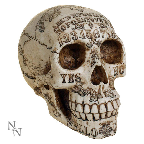 Nemesis Now Spirits Commune Skull 20cm: 5 - Figurines Medium (15-29cm) By Gift Moments
