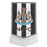Newcastle United FC Mini Pennant: 1 Flags & Banners By Newcastle United