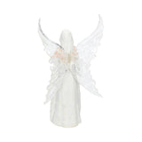 Only Love Remains Fairy Figurine by Anne Stokes Angel Ornament 26cm: 5 - Figurines Medium (15-29cm) By Anne Stokes