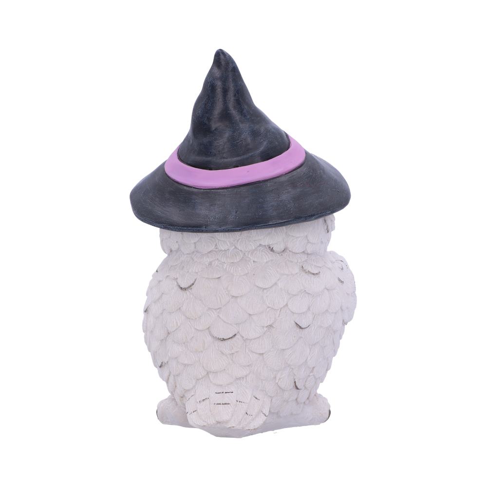 Owl Potion Figurine 17.5cm: 4 - Figures & Collectables By Gift Moments
