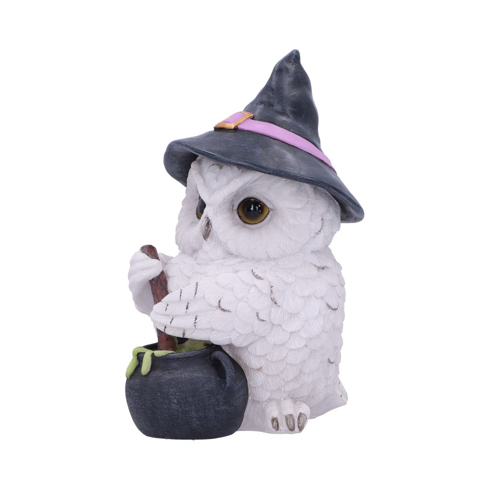 Owl Potion Figurine 17.5cm: 3 - Figures & Collectables By Gift Moments
