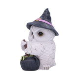 Owl Potion Figurine 17.5cm: 3 - Figures & Collectables By Gift Moments