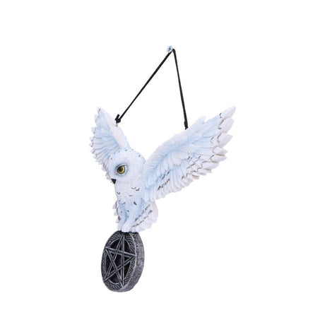 Owl Talisman Hanging Decoration: 3 - Wall Hanging Sculptures By NN Designs