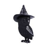Owlocen Owl Figurine 30cm (Large): 5 Figures & Collectables By NN Designs