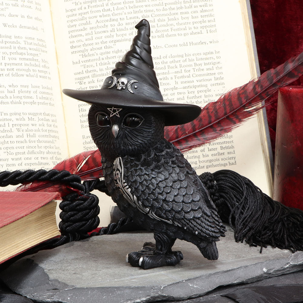 Owlocen Witches Hat Occult Owl Figurine: 1 - Figures & Collectables By NN Designs
