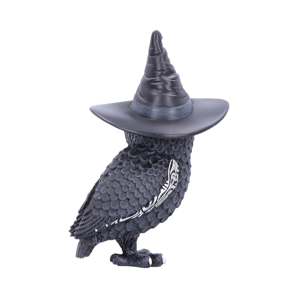 Owlocen Witches Hat Occult Owl Figurine: 3 - Figures & Collectables By NN Designs
