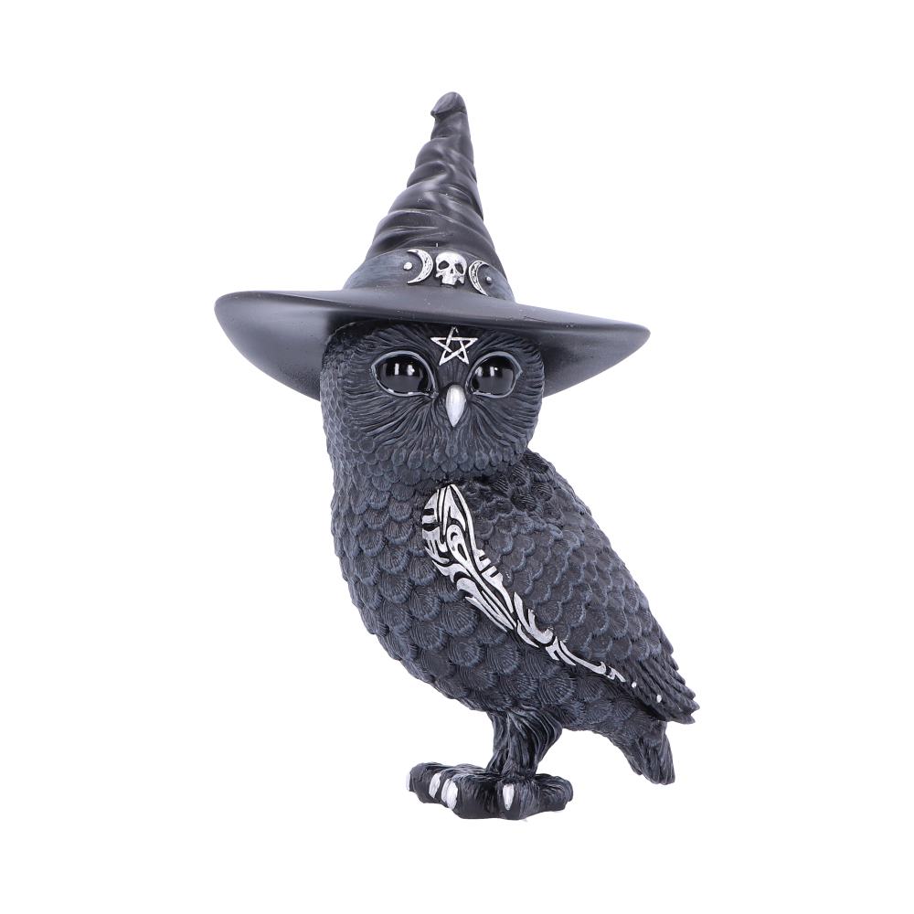Owlocen Witches Hat Occult Owl Figurine: 2 - Figures & Collectables By NN Designs
