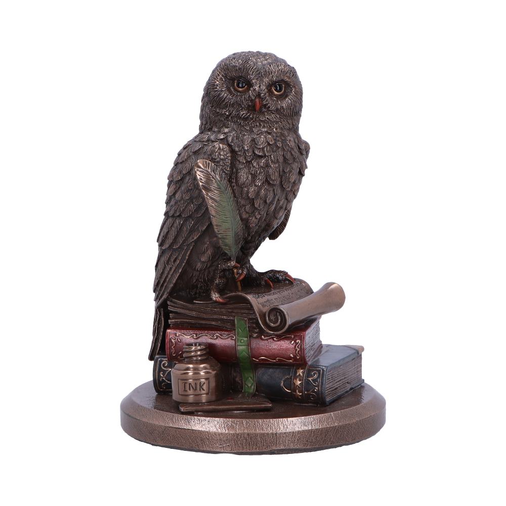 An Owl’s Tale Bronze Figurine - Shop Figures & Collectables At Gift Moments - 2