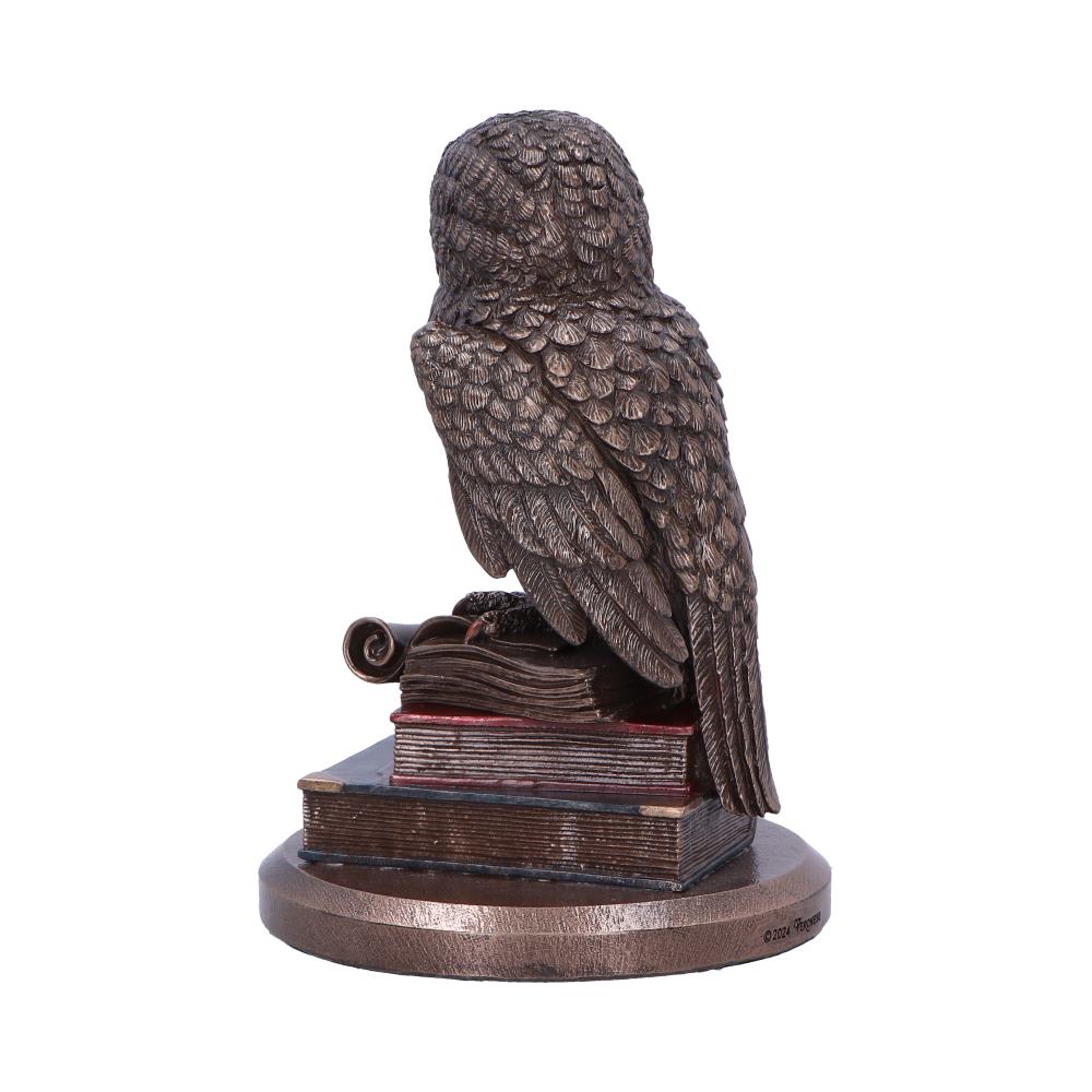 An Owl’s Tale Bronze Figurine: 4 - Figures & Collectables By Gift Moments
