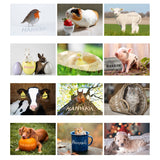 Personalised A4 Cute Animals Calendar: 6 - Calendars & Planners By Gift Moments