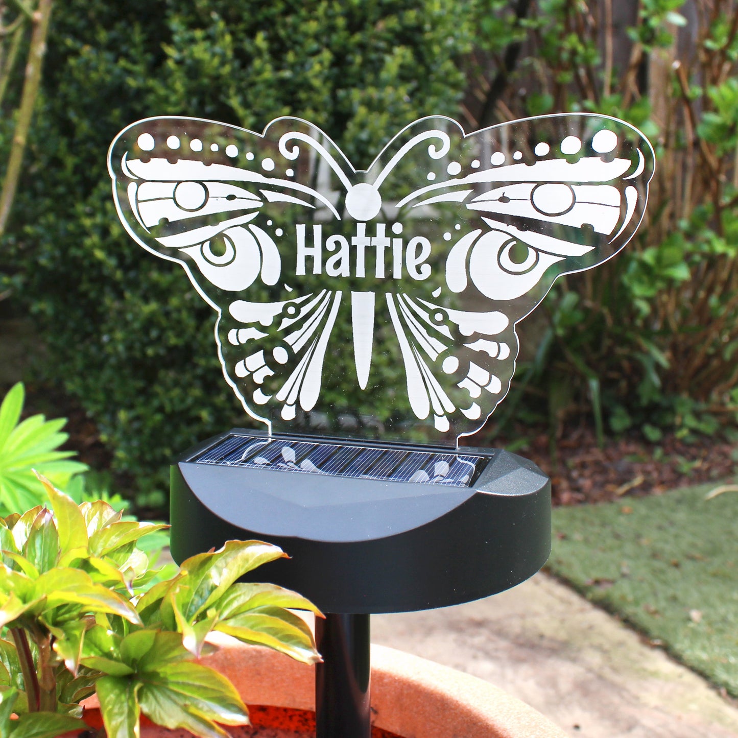 Personalised Butterfly Solar Light: 1 - Solar Lights By Gift Moments