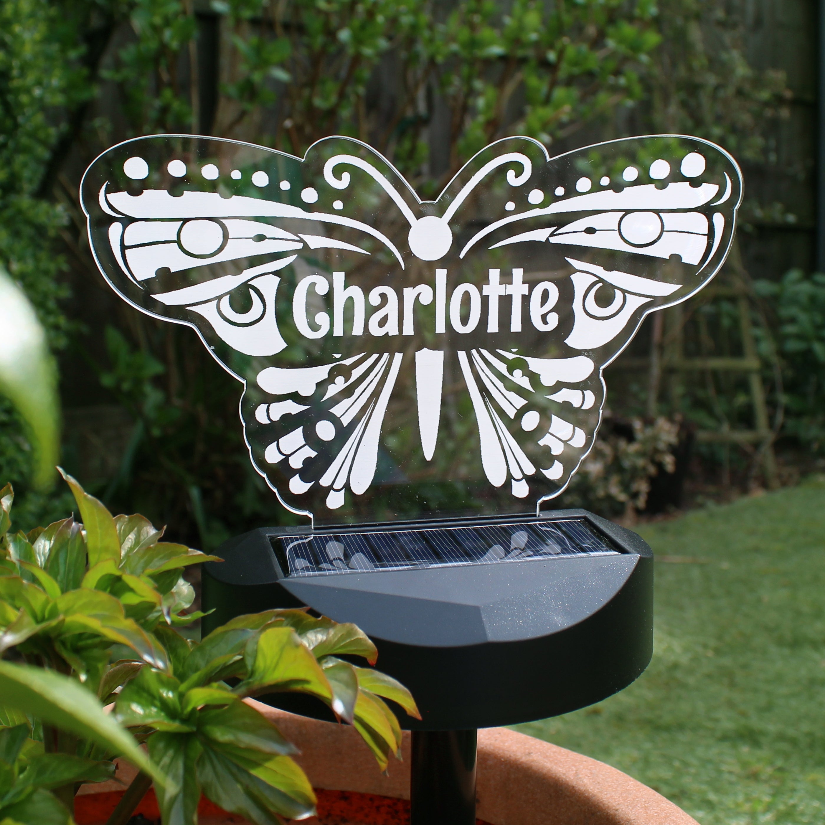 Personalised Butterfly Solar Light - Shop Solar Lights At Gift Moments - 4