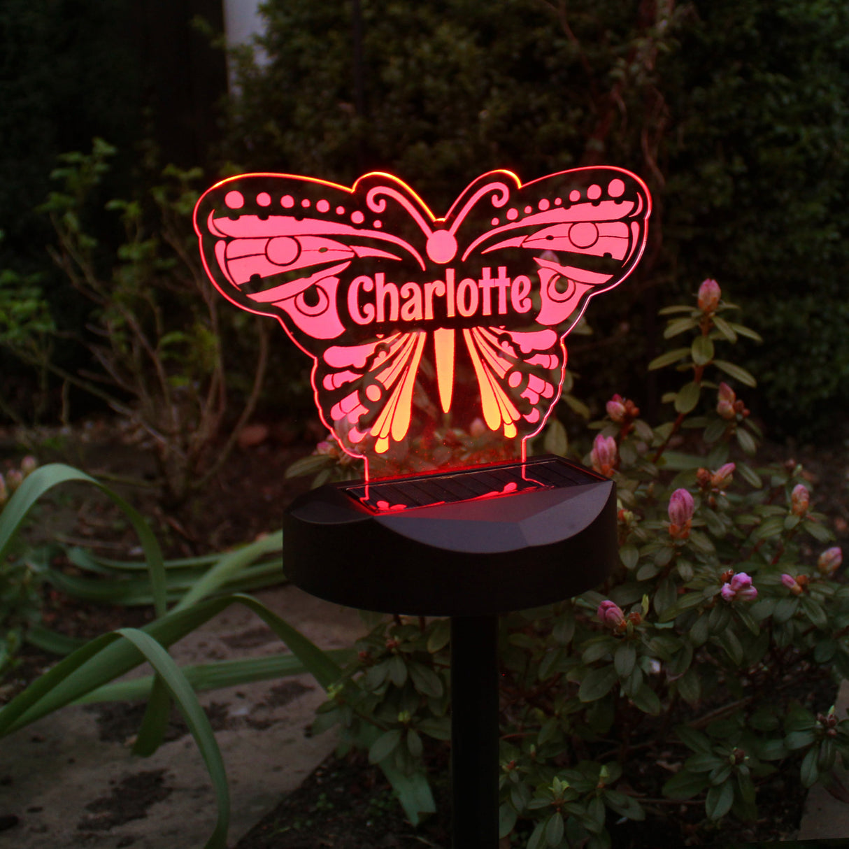 Personalised Butterfly Solar Light: 5 - Solar Lights By Gift Moments